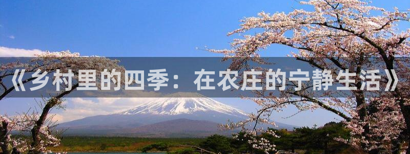 必一体育网页登录版官网