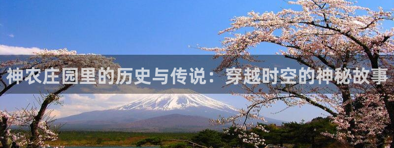 必一体育在线官网