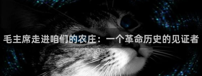 必一体育秀给网