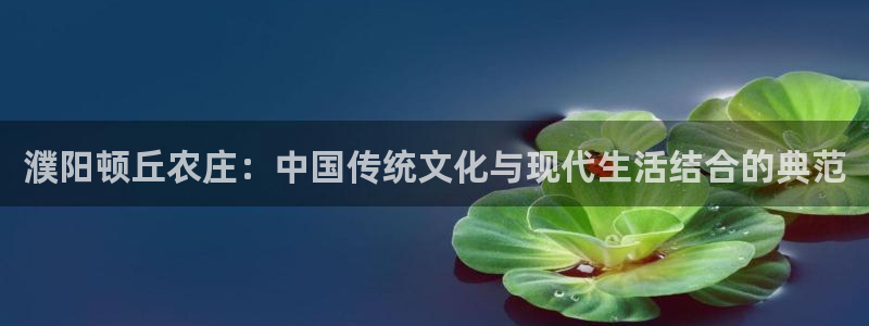 必一体育电子app