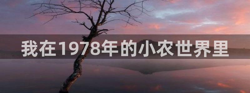 必一体育app下载最新版本