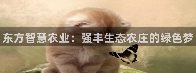 必一运动sport爱查股