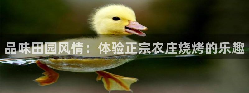 必一体育官方网站入口