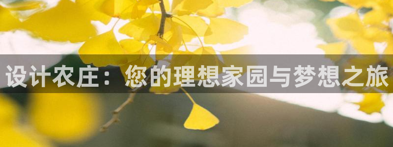 b体育必一运动网页版在线登录入口