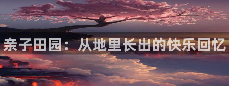 必一体育官方入口