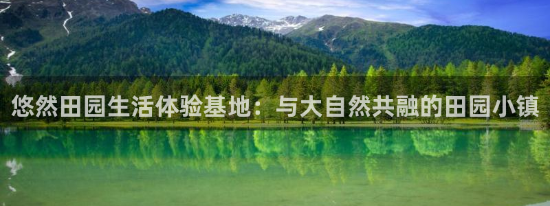 必一运动体育官网