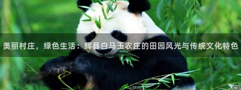 必一运动·体育