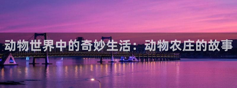 必一体育官网网站