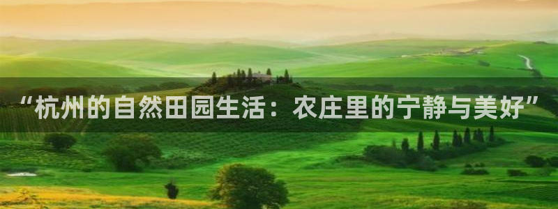 必一体育服下载最新版本更新内容