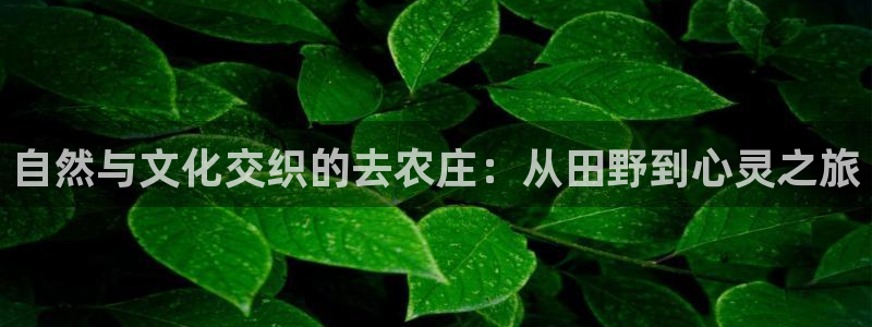 必一体育下载登入