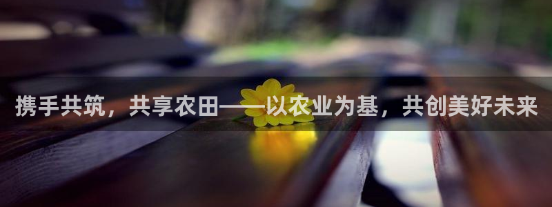 必一体育sport下载