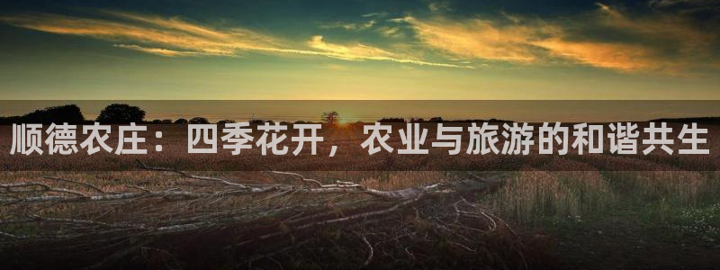 必一体育sport官网