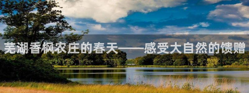 必一体育在线登录