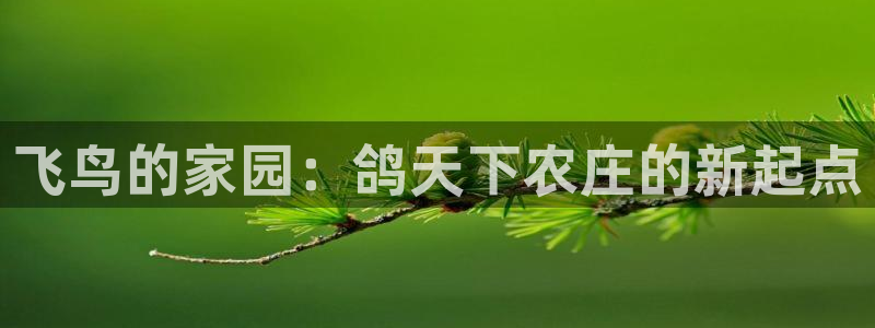 必一运动B-Sport官方网站入口