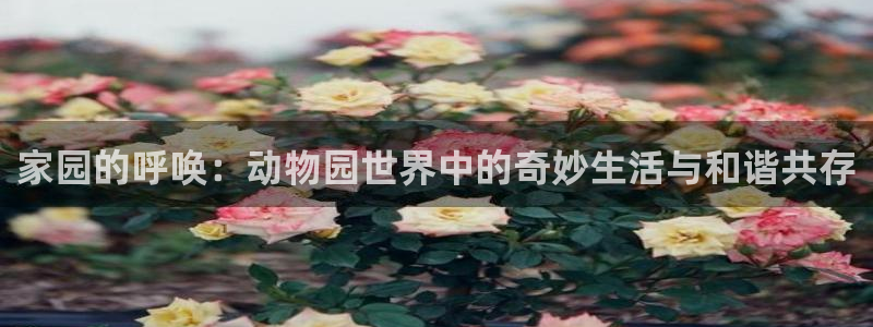 必一体育下载移动版