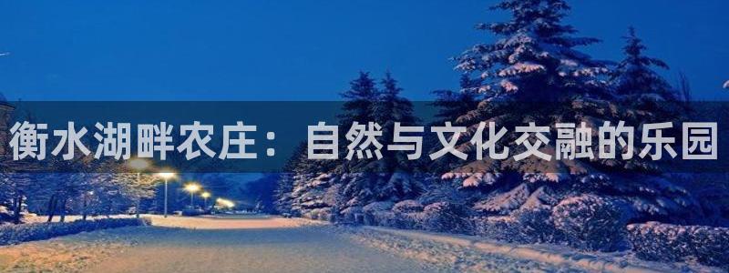 必一体育网址