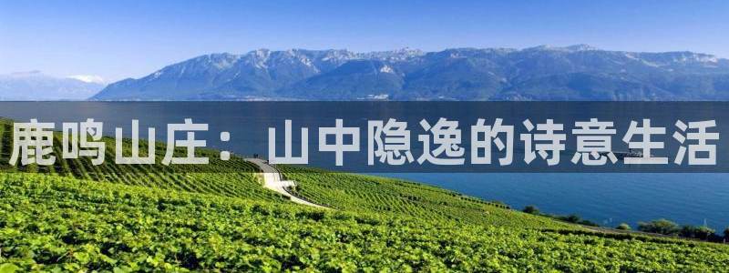 必一运动