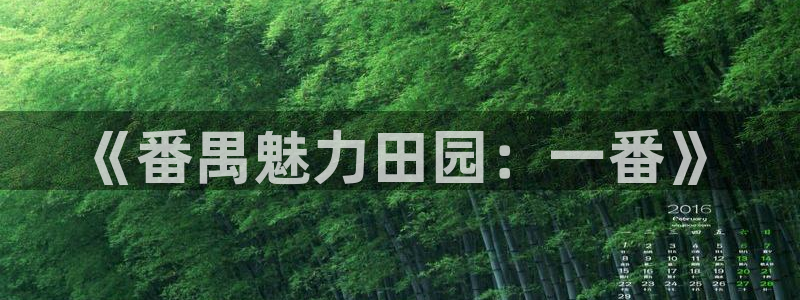 必一体育皮尔斯