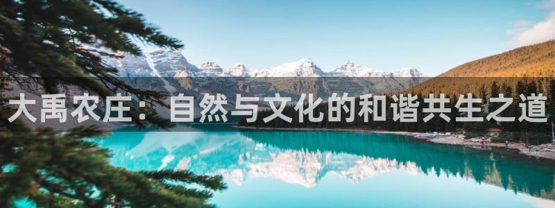 必一体育全站在线登录入口