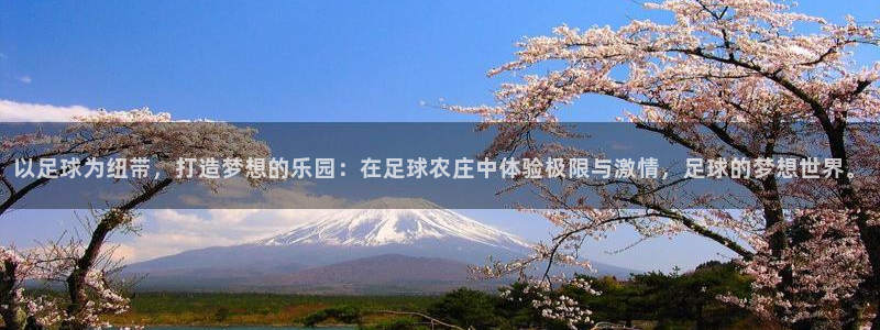 必一体育是哪里的台子