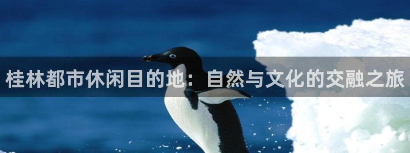 必一体育服下载最新版本更新内容